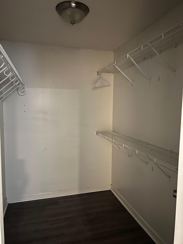 spacious closet with dark wood-style floors