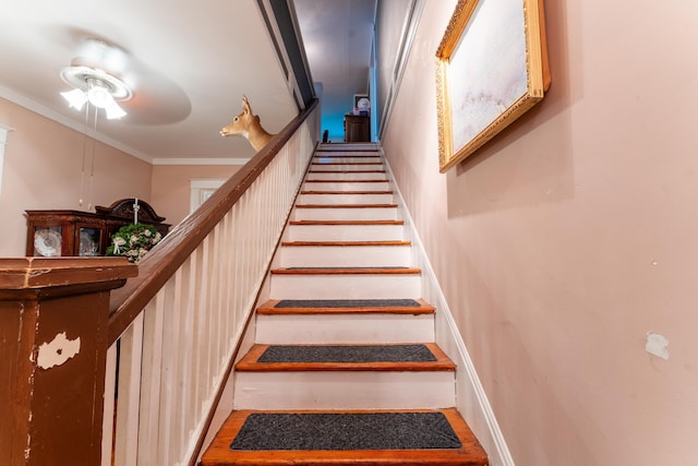 171 White St, Savannah, TN 38372 - staircase with ornamental molding and ceiling fan