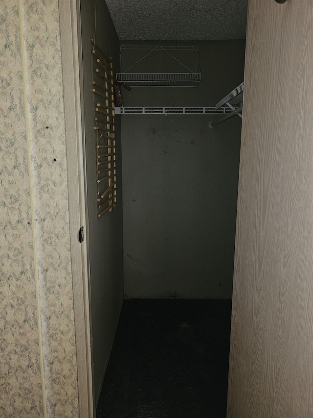 3845 Forked Deer Rd, Gates, TN 38037 - view of spacious closet