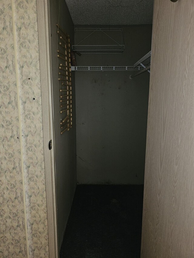 3845 Forked Deer Rd, Gates, TN 38037 - view of spacious closet