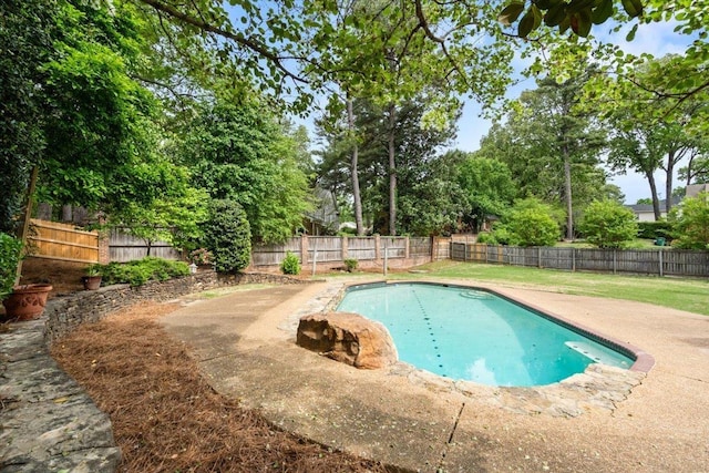 view of pool with a fenced in pool, a fenced backyard, and a patio