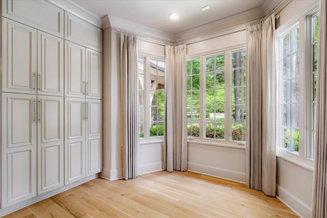 294 Dubray Manor Dr, Collierville, TN 38017 - interior space featuring baseboards, multiple windows, and light wood-style flooring