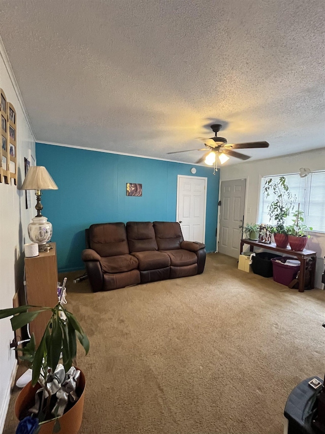 living area featuring a textured ceiling, ceiling fan, and carpet