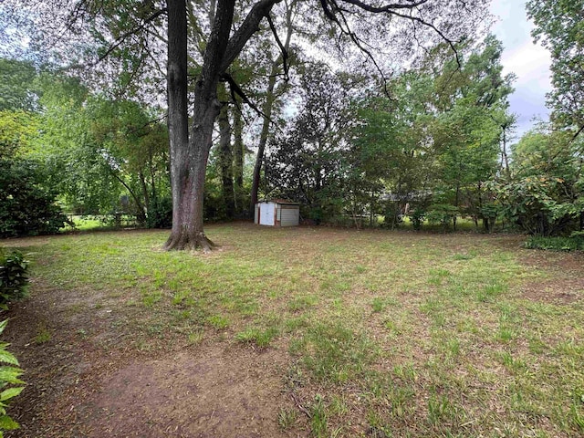 1439 Woodston Rd, Memphis, TN 38117 - view of yard featuring a detached garage, an outdoor structure, and a shed