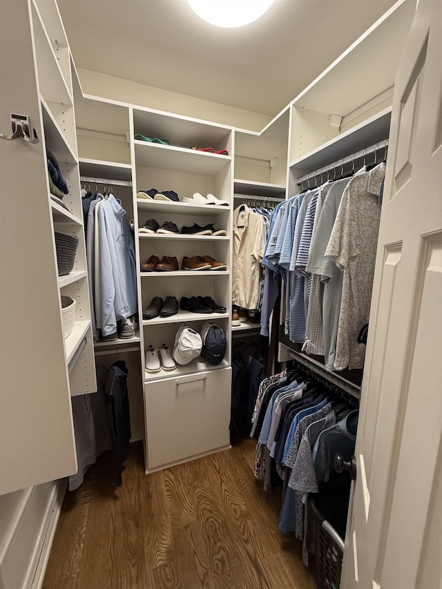 walk in closet featuring wood finished floors