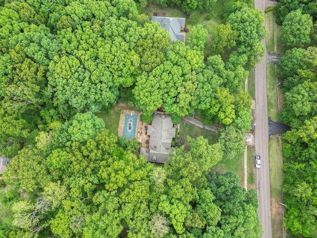 aerial view