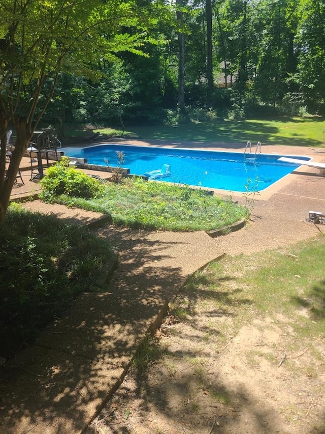 pool with a diving board