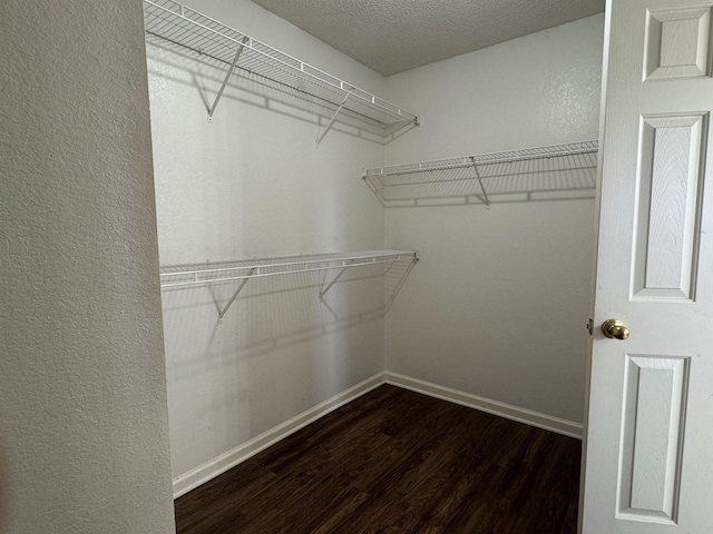 walk in closet with wood finished floors
