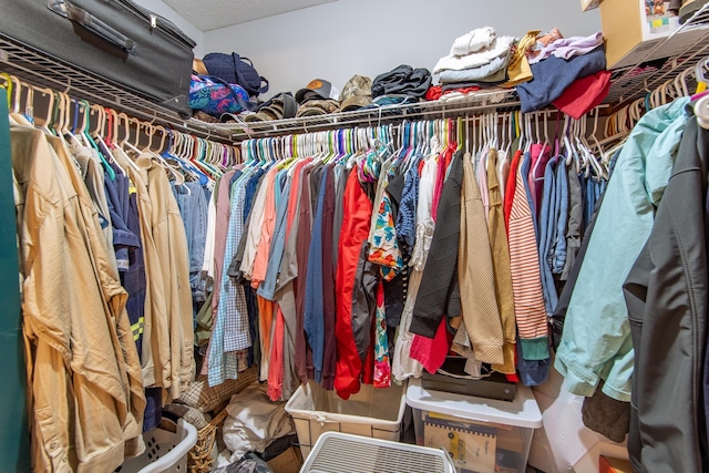 view of walk in closet