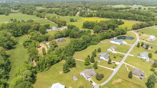 drone / aerial view