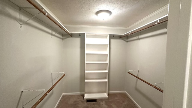 walk in closet featuring carpet floors