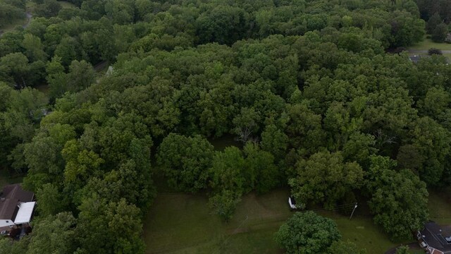 0000 Woodmont Dr, Selmer, TN 38375