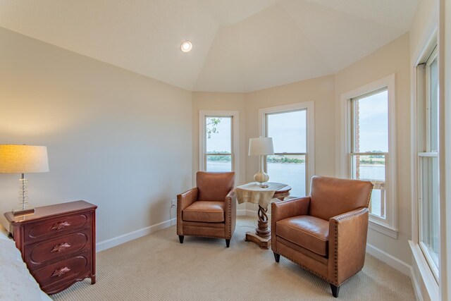 164B Aquaticview Way, Savannah, TN 38372 - sitting room featuring baseboards, light carpet, and a wealth of natural light