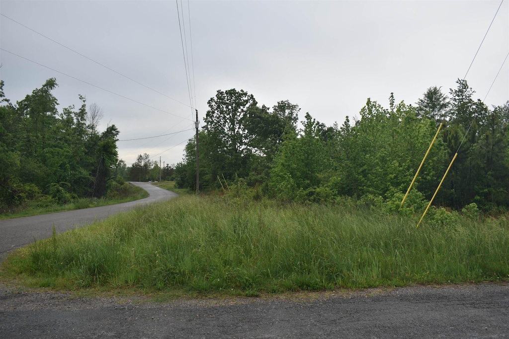 00 Murray School Rd, Bethel Springs, TN 38315