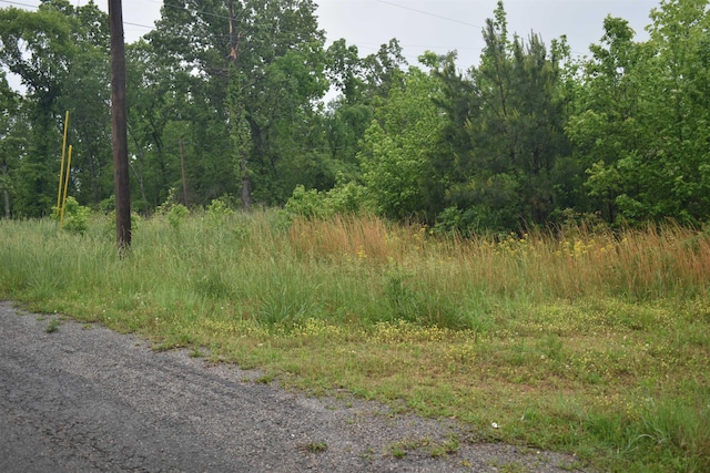 00 Flowers Ln, Bethel Springs, TN 38315