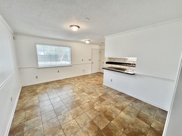 interior space featuring ornamental molding, baseboards, a textured ceiling, a sink, and stone finish flooring