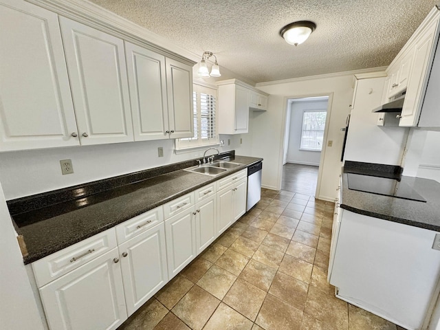 kitchen with plenty of natural light, a sink, white cabinetry, and under cabinet range hood