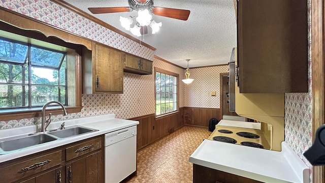 kitchen with white dishwasher, a textured ceiling, wainscoting, a sink, and light countertops