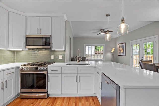 kitchen featuring crown molding, a sink, light wood-type flooring, and stainless steel appliances