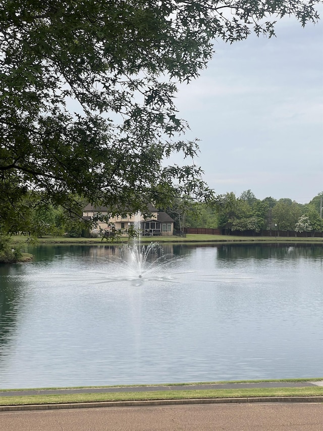 view of water feature