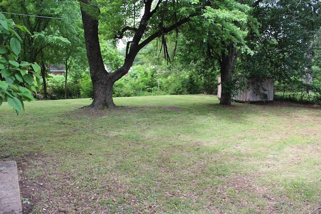 view of yard featuring an outdoor structure and a storage shed
