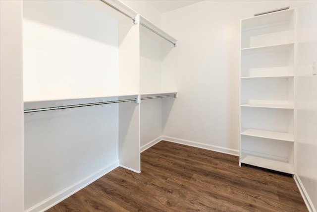 spacious closet featuring wood finished floors