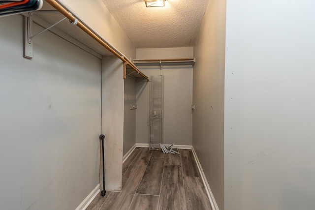 walk in closet featuring wood finished floors