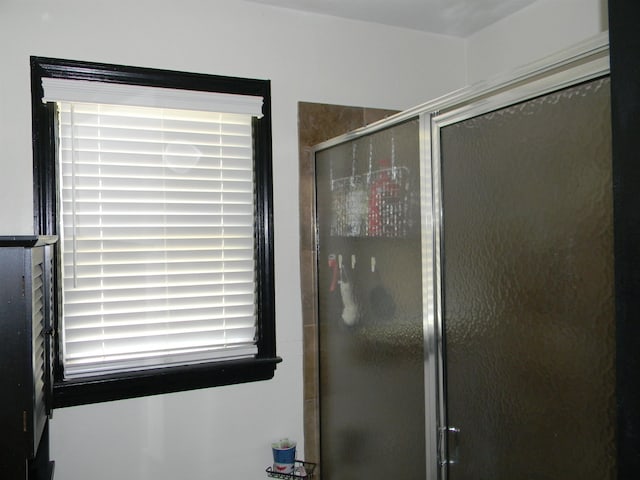 496 Eastern Dr SW, Memphis, TN 38122 - bathroom with a stall shower