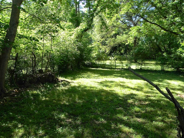 496 Eastern Dr SW, Memphis, TN 38122 - view of grassy yard with a view of trees