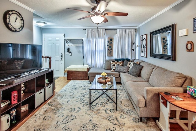 living room with crown molding and ceiling fan