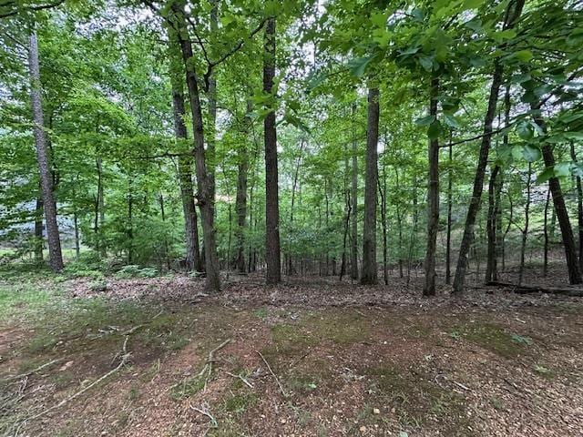 00 Anderson Hollow Rd, Savannah, TN 38372
