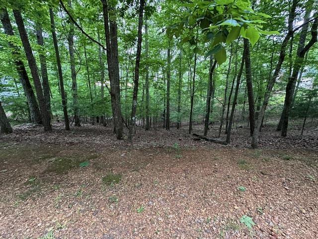 00 Anderson Hollow Rd, Savannah, TN 38372