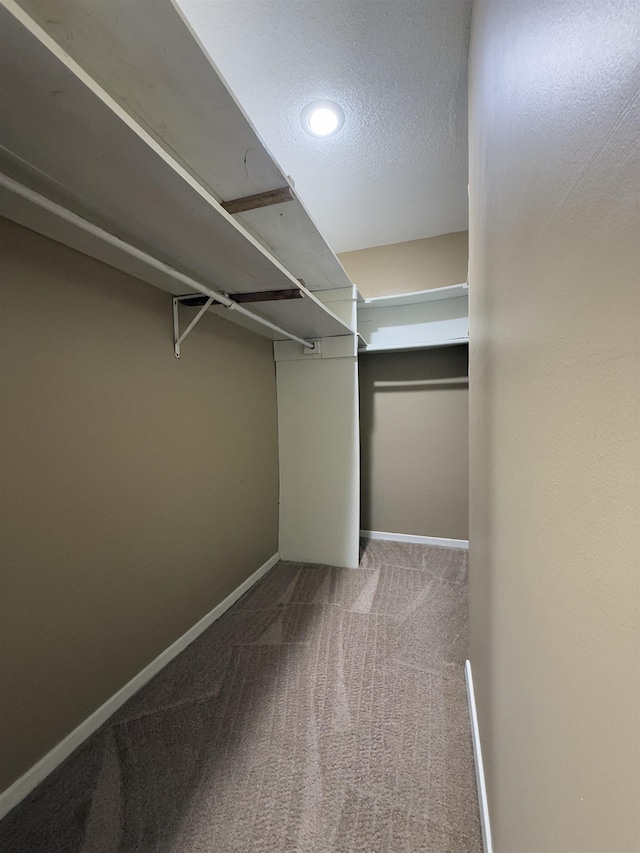 spacious closet featuring carpet floors