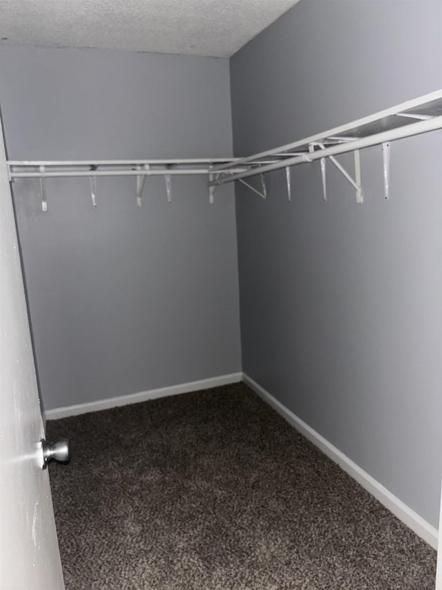 walk in closet with dark colored carpet