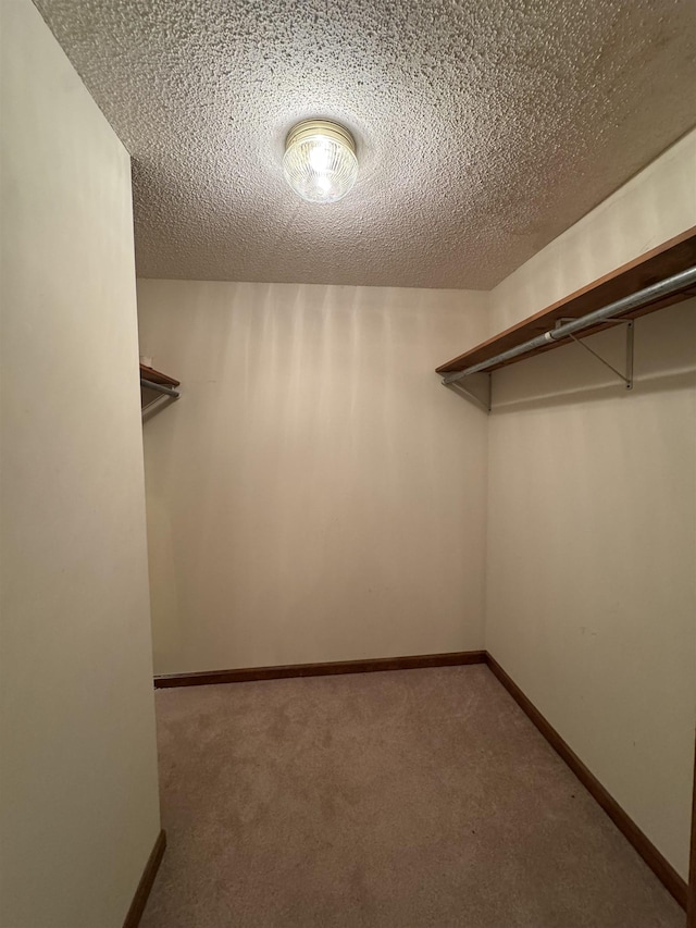 spacious closet with carpet floors
