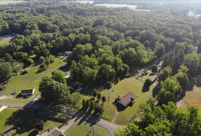 bird's eye view with a view of trees