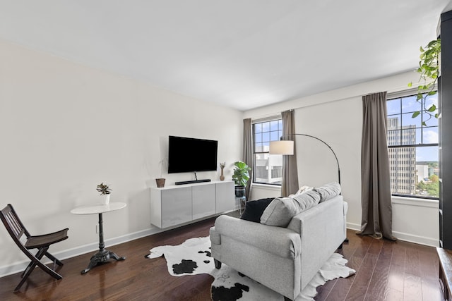 living area with wood-type flooring and baseboards