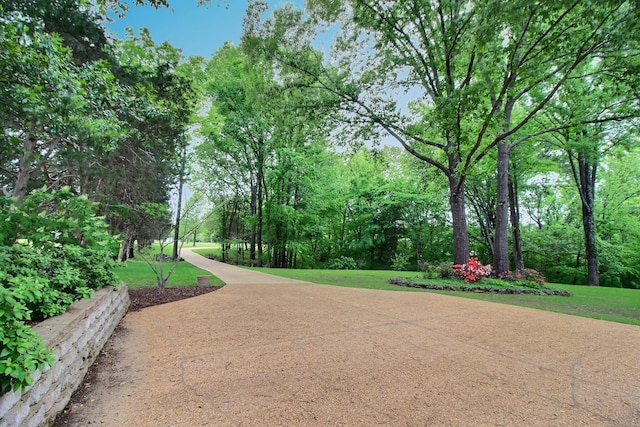view of property's community featuring a lawn