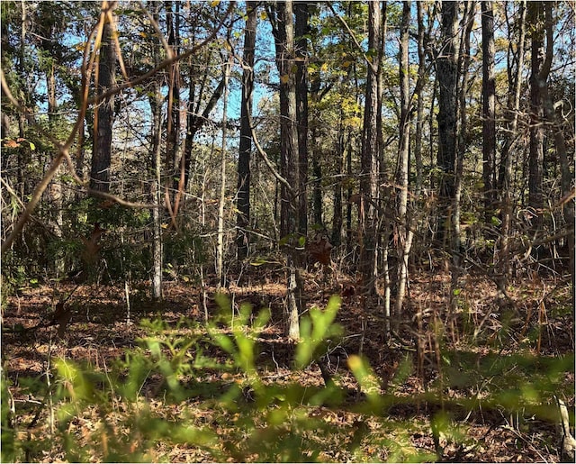 151 Woodrun Cir, Middleton, TN 38052