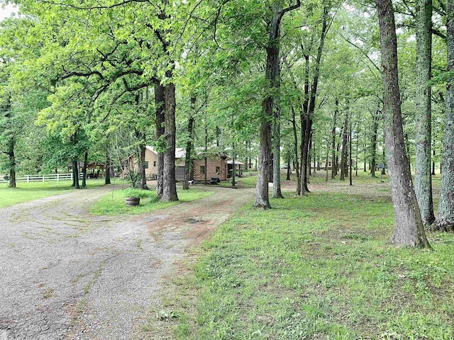 4560 Bishop Rd, Middleton, TN 38052 - view of road