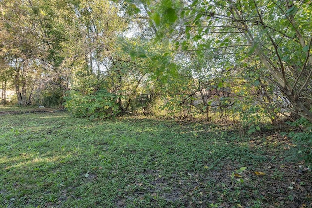 view of green lawn with a wooded view