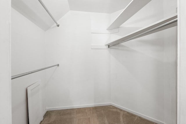 8438 Bergen Dr, Memphis, TN 38018 - walk in closet featuring carpet floors and lofted ceiling