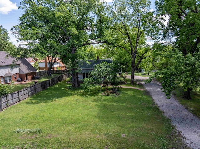 view of yard
