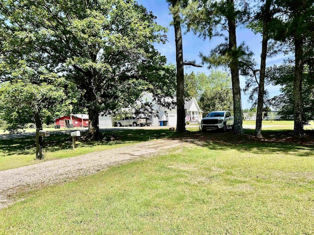 1100 Kendrick Rd, Michie, TN 38357
