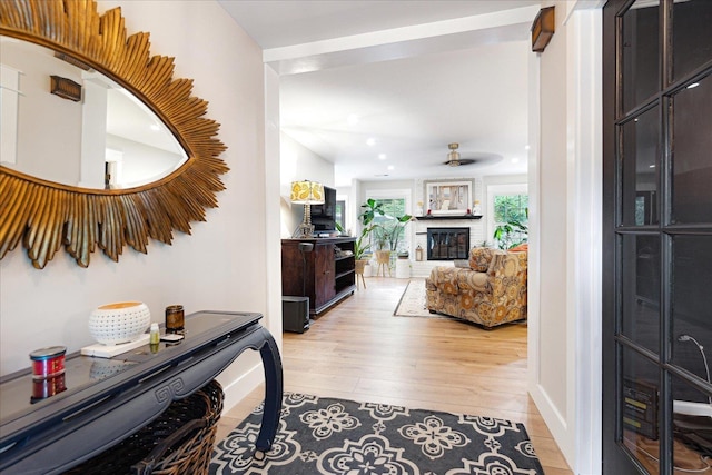 1366 Kirby Rd, Memphis, TN 38120 - hall featuring light wood finished floors and recessed lighting
