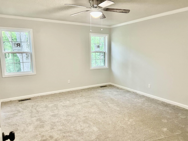 4403 W 19th Hwy, Ripley, TN 38063 - empty room with plenty of natural light, baseboards, ornamental molding, carpet floors, and a textured ceiling