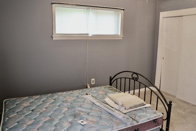 7206 N Juana Dr, Millington, TN 38053 - carpeted bedroom with a closet
