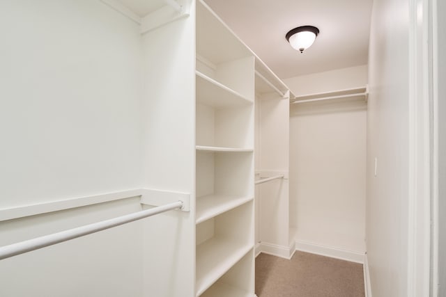 3850 Poplar Ave, Memphis, TN 38111 - walk in closet featuring carpet