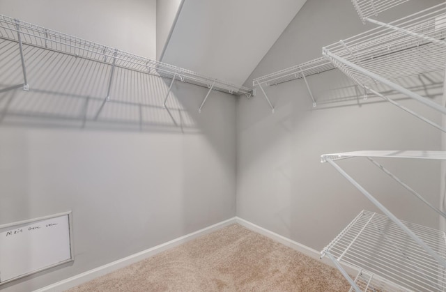 135 Briar Hollow Ln, Oakland, TN 38060 - spacious closet featuring carpet flooring and vaulted ceiling