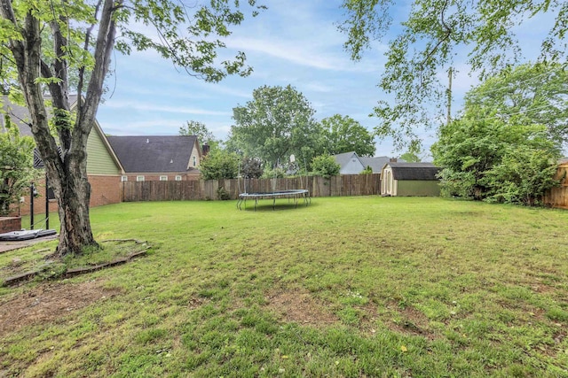view of yard featuring a storage shed, a trampoline, and an outbuilding